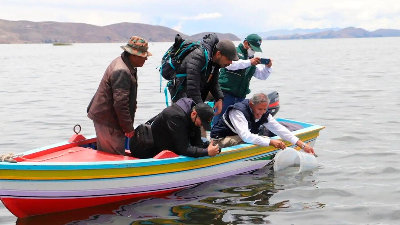 Perú y Bolivia impulsan proyecto para recuperar la pesca en el lago Titicaca